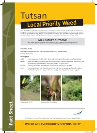 Tutsan Local Priority Weed