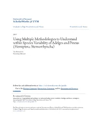 Using Multiple Methodologies to Understand Within Species Variability of Adelges and Pineus (Hemiptera: Sternorrhyncha) Tav Aronowitz University of Vermont