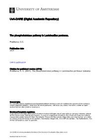 Uva-DARE (Digital Academic Repository)