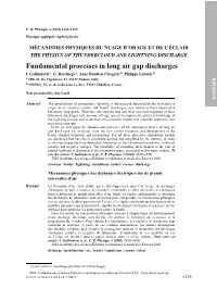 Fundamental Processes in Long Air Gap Discharges I