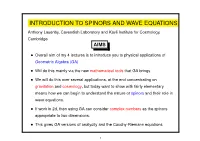 Introduction to Spinors and Wave Equations