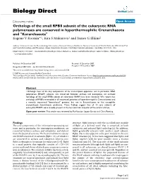 Orthologs of the Small RPB8 Subunit of the Eukaryotic RNA Polymerases