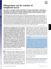 Phylogenomics and the Evolution of Hemipteroid Insects