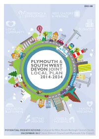 Plymouth and South West Devon Joint Local Plan