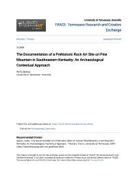The Documentation of a Prehistoric Rock Art Site on Pine Mountain in Southeastern Kentucky: an Archaeological Contextual Approach