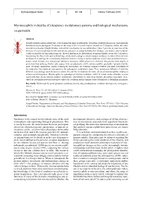 Myrmecophily in Beetles (Coleoptera): Evolutionary Patterns and Biological Mechanisms