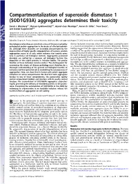 Compartmentalization of Superoxide Dismutase 1 (SOD1G93A) Aggregates Determines Their Toxicity