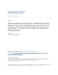Dissemination and Persistence of Plasmid Located, Integron