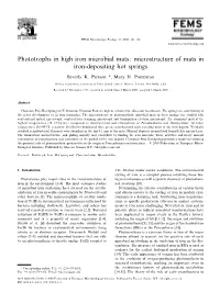 Phototrophs in High Iron Microbial Mats: Microstructure of Mats in Iron-Depositing Hot Springs