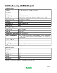 Primepcr™Assay Validation Report