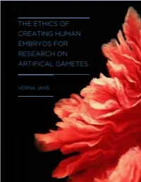 Thesis Verna Jans Final Draft 260816.Pdf