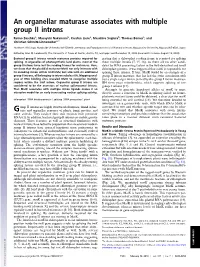 An Organellar Maturase Associates with Multiple Group II Introns