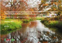 Analysis, Visioning and Concept Report October 2010