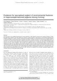Evidence for Perceptual Neglect of Environmental Features in Hippocampal-Lesioned Pigeons During Homing