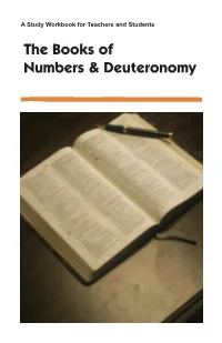 The Books of Numbers & Deuteronomy
