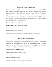 Digestion of Carbohydrates