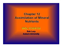 Chapter 12 Assimilation of Mineral Nutrients