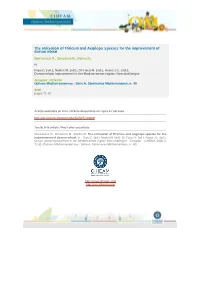 The Utilisation of Triticum and Aegilops Species for the Improvement of Durum Wheat