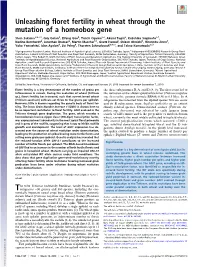 Unleashing Floret Fertility in Wheat Through the Mutation of a Homeobox Gene