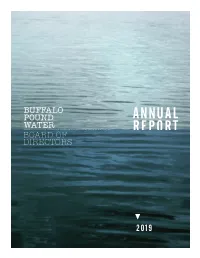 2019 Annual Report