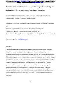 Defective Folate Metabolism Causes Germline Epigenetic Instability and Distinguishes Hira As a Phenotype Inheritance Biomarker