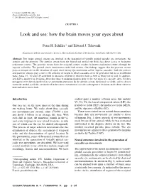 How the Brain Moves Your Eyes About