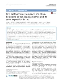 First Draft Genome Sequence of a Strain Belonging to the Zoogloea Genus and Its Gene Expression in Situ Emilie E