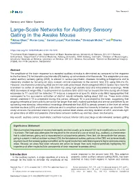 Large-Scale Networks for Auditory Sensory Gating in the Awake Mouse