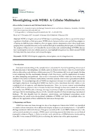 Moonlighting with WDR5: a Cellular Multitasker