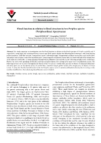 Floral Function in Relation to Floral Structure in Two Periploca Species (Periplocoideae) Apocynaceae