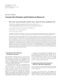 Genome Size Dynamics and Evolution in Monocots