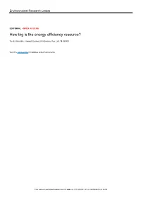 How Big Is the Energy Efficiency Resource?