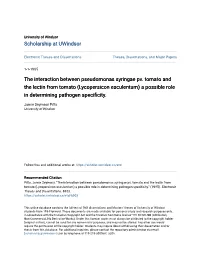 The Interaction Between Pseudomonas Syringae Pv. Tomato and the Lectin from Tomato (Lycopersicon Esculentum) a Possible Role in Determining Pathogen Specificity