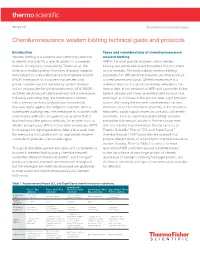 Chemiluminescence Western Blotting Technical Guide and Protocols