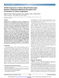 PACE4 Expression in Mouse Basal Keratinocytes Results in Basement Membrane Disruption and Acceleration of Tumor Progression