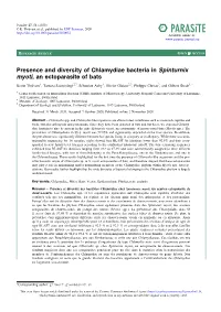 Presence and Diversity of Chlamydiae Bacteria in Spinturnix Myoti, an Ectoparasite of Bats