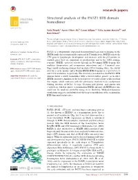 Structural Analysis of the PATZ1 BTB Domain Homodimer