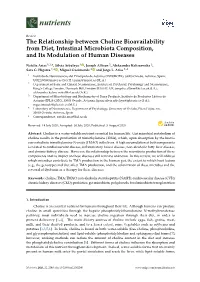The Relationship Between Choline Bioavailability from Diet, Intestinal Microbiota Composition, and Its Modulation of Human Diseases