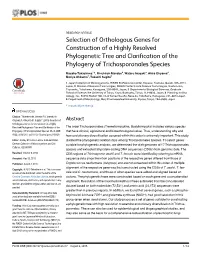 Selection of Orthologous Genes for Construction of a Highly Resolved Phylogenetic Tree and Clarification of the Phylogeny of Trichosporonales Species