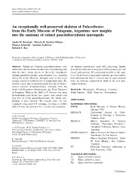 An Exceptionally Well-Preserved Skeleton of Palaeothentes from the Early Miocene of Patagonia, Argentina