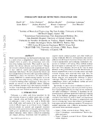 Endoscopy Disease Detection Challenge 2020