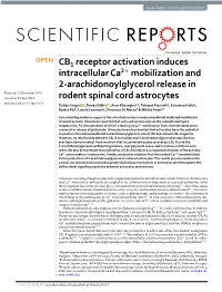 CB1 Receptor Activation Induces Intracellular Ca2+ Mobilization And