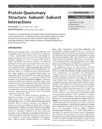 "Protein Quaternary Structure: Subunit&Ndash;Subunit