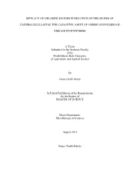 Efficacy of Chlorine Dioxide Fumigation on the Spores Of