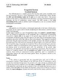 Genital System Genital System Sex Differentiation Is a Complex Process That Involves Many Genes, Including Some That Are Autosomal