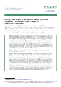 Phylogenomic Analysis of Balantidium Ctenopharyngodoni (Ciliophora, Litostomatea) Based on Single-Cell Transcriptome Sequencing