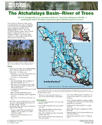 The Atchafalaya Basin