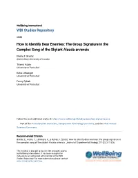 The Group Signature in the Complex Song of the Skylark Alauda Arvensis