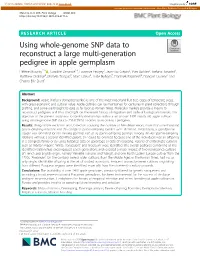 Using Whole-Genome SNP Data to Reconstruct a Large Multi