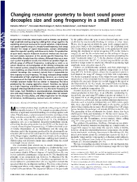 Changing Resonator Geometry to Boost Sound Power Decouples Size and Song Frequency in a Small Insect